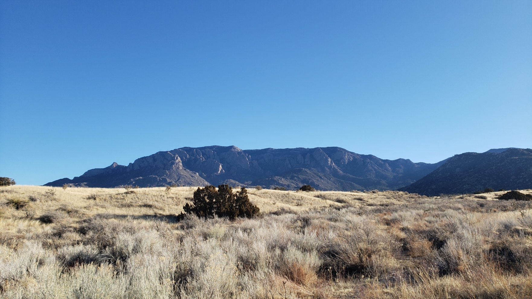 High Desert grasslands, blue sky, dark mountain